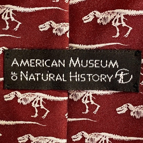 Dinosaur Skeleton Silk Tie - Picture 3 of 3